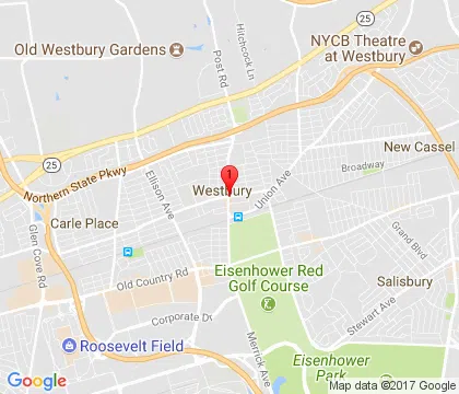 logo-image - westbury-ny